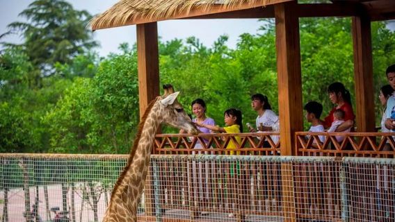 Dongbeizhuang Yesheng Zoo