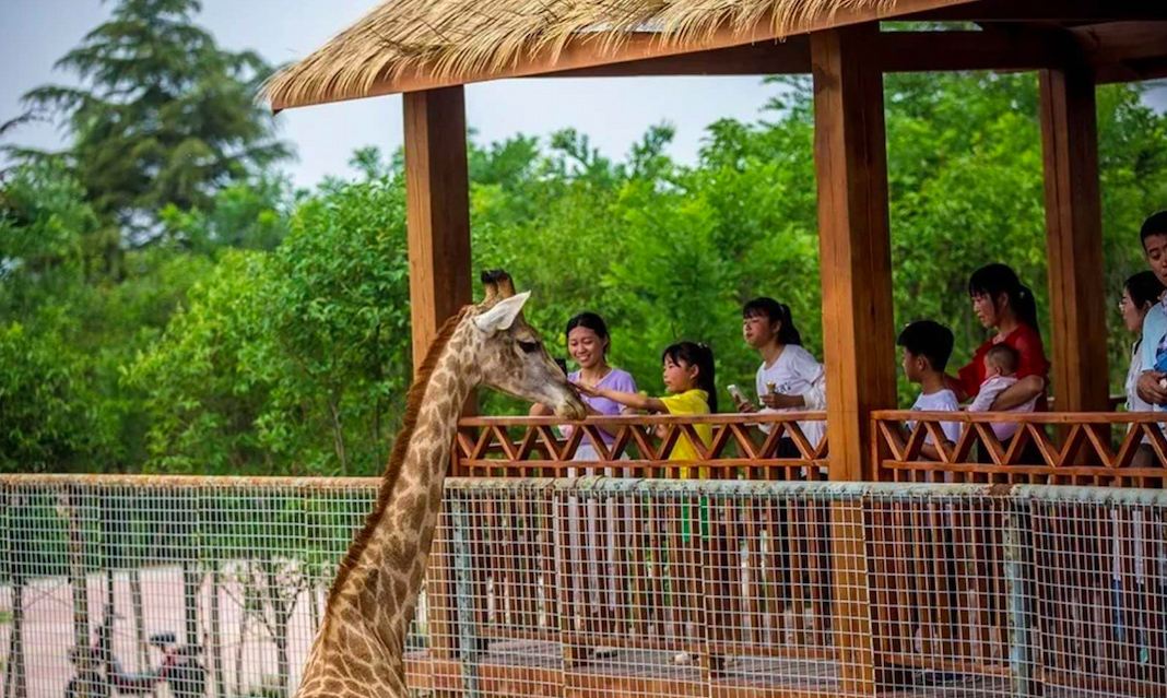 Dongbeizhuang Yesheng Zoo