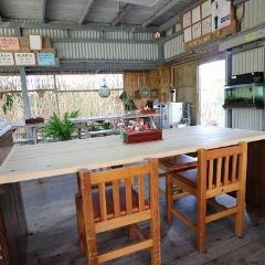Tofu Higa User Photo