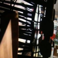ARCH Cafe 여행 사진