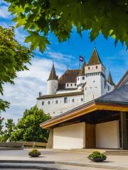 Nyon Castle