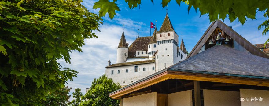 Nyon Castle