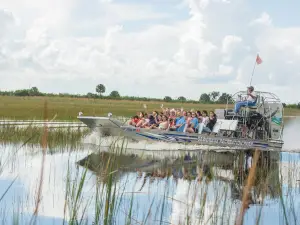 Sawgrass Recreation Park Everglades Airboat Eco Adventures