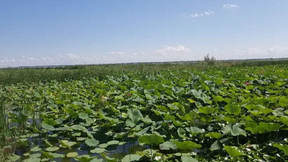 Jilin Chaganhu Guojia Ji Ziranbaohuqu Museum