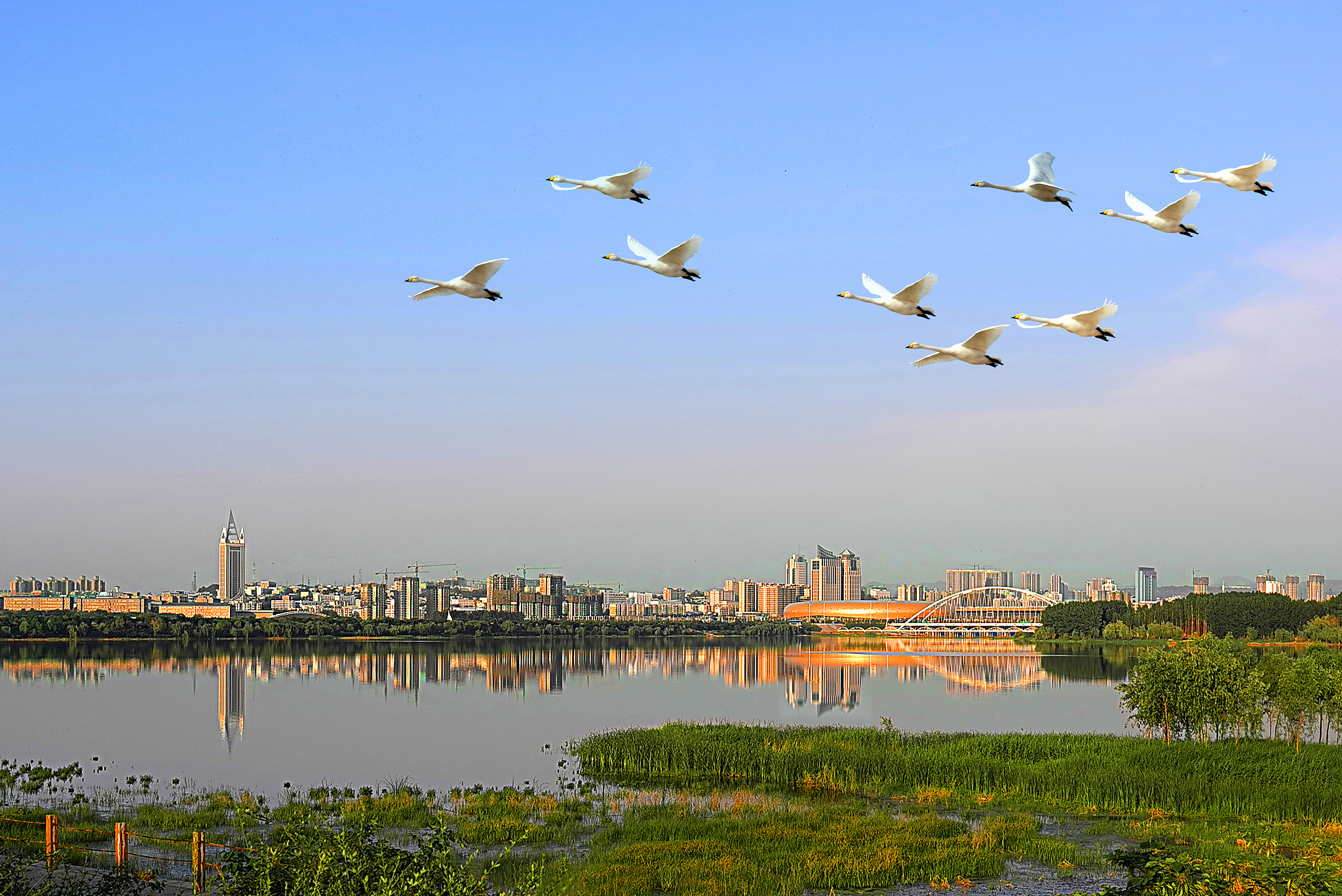 2025 Sanmenxia Travel Guide: Must-see attractions, popular food, hotels, transportation routes (updated in July)