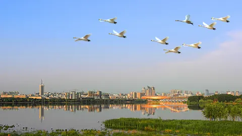 Sanmenxia travel destination