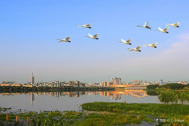 Hotels near Sanmenxia Museum