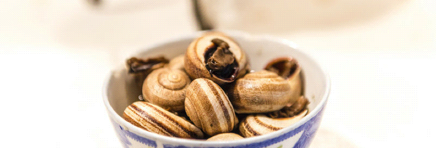 The Lodge Restaurant & Bar