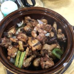 YING DAN YUAN NONG ZHUANG User Photo