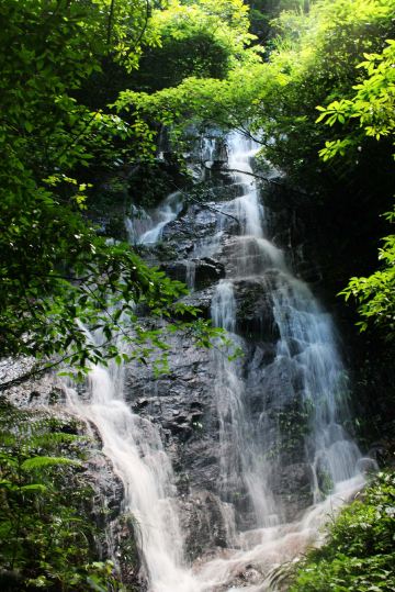 Dayu İlçesi