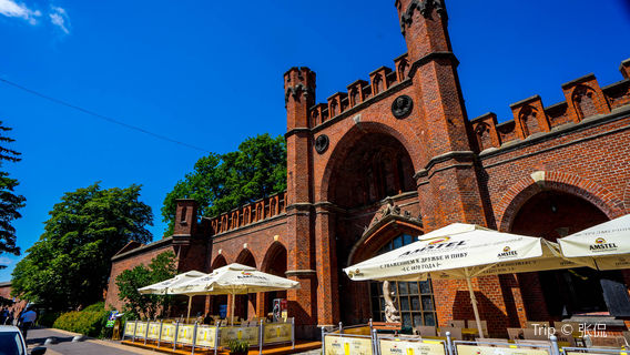 Amber Museum