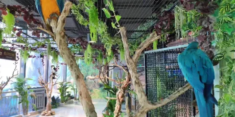 潤達奇妙萌寵樂園（潤達國際購物中心店）