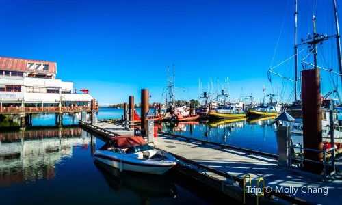 Steveston Fisherman's Wharf