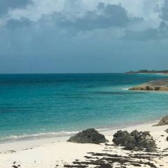 Tropic Breeze Beach Bar & Grill User Photo