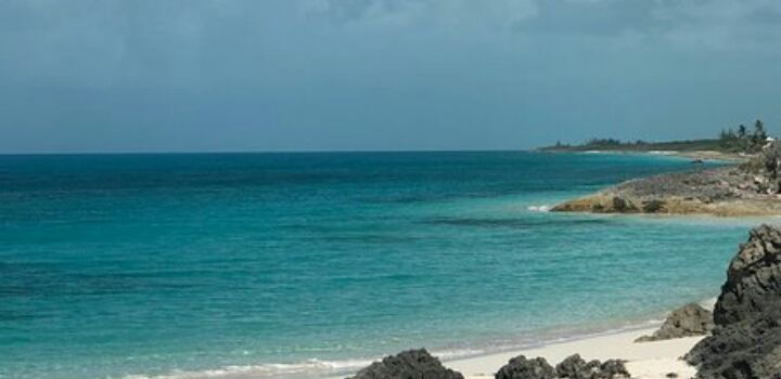 Tropic Breeze Beach Bar & Grill