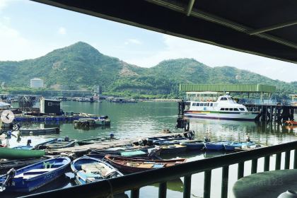 泰苑海鮮魚翅酒家