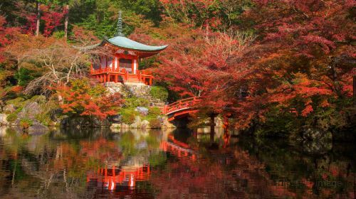 醍醐寺