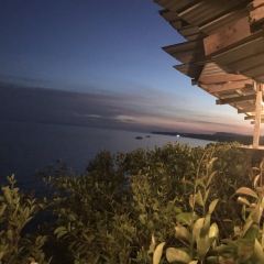 Bohol Bee Farm Resort User Photo