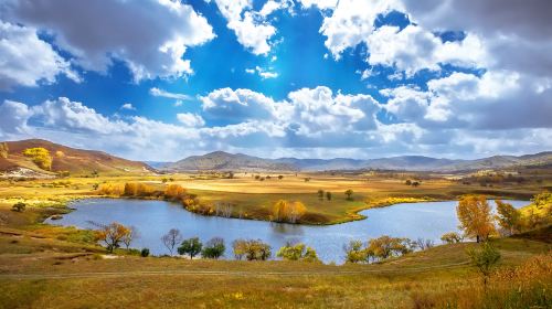 Bashang Grasslands