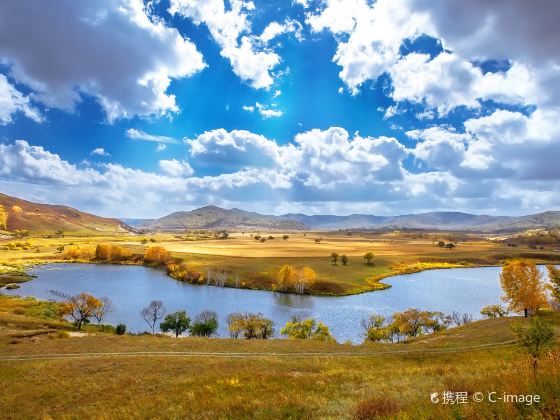 Bashang Grasslands