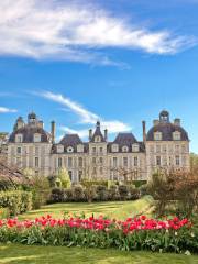 Chateau de Cheverny