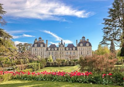 Castillo de Cheverny