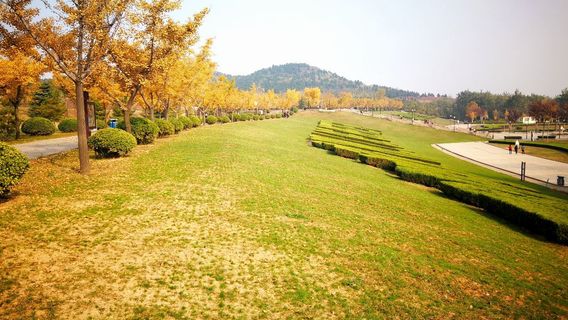 Zouping Huang Mountain