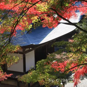 神護寺