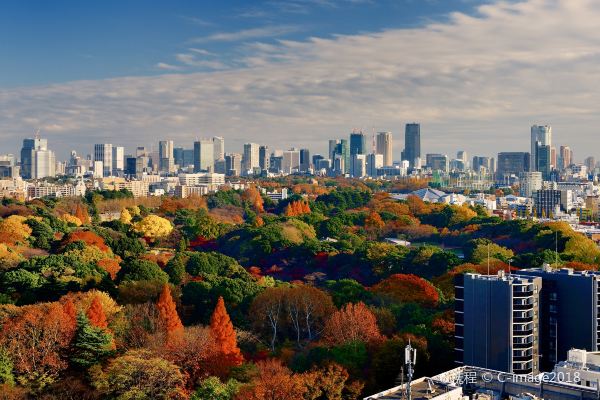 Shinjuku Gyoen National Garden