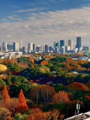 Jardín Nacional Shinjuku Gyoen