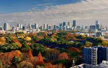 Shinjuku Gyoen National Garden