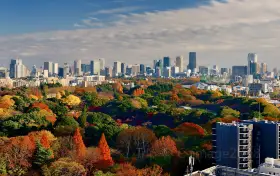 Shinjuku Gyoen National Garden