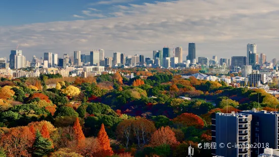 Shinjuku Gyoen Park