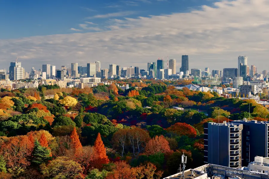 Shinjuku Gyoen National Garden