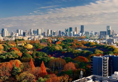 Shinjuku Gyoen Park