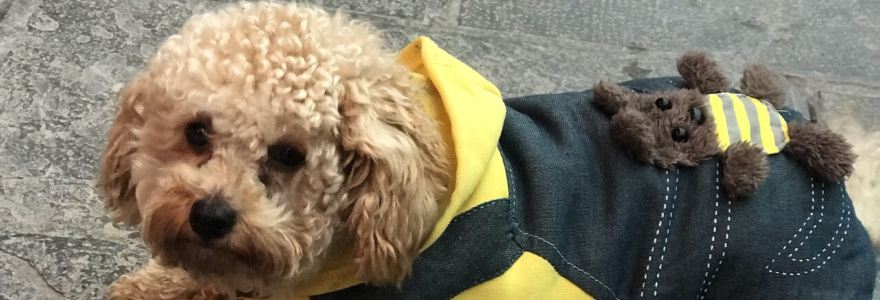 古城苗家土菜馆(河景餐厅店)