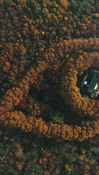 난징 프라이빗 가이드 일일 투어: 중산 링위안 관광지(중산 능원관광지), 밍샤오링(명효릉), 메이링궁(미령궁)