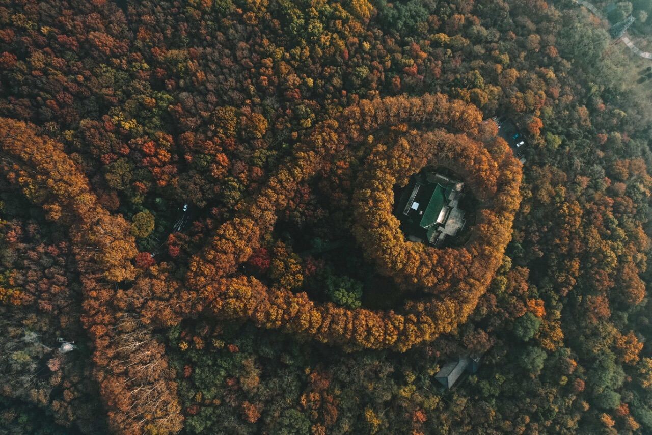 Nanjing Private Guided Tour (One Day): Sun Yat-sen Mausoleum, Ming Xiaoling Mausoleum, Meiling Palace