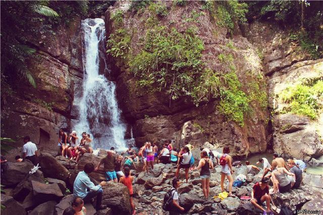 The El Yunque National Forest