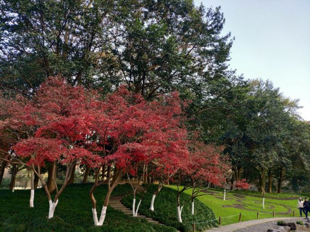 太子灣公園