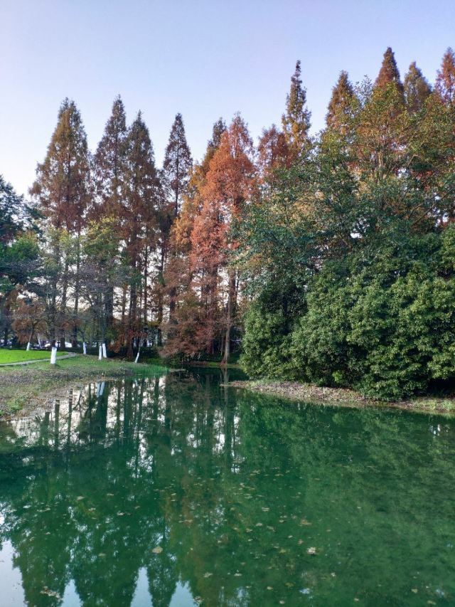 太子灣公園