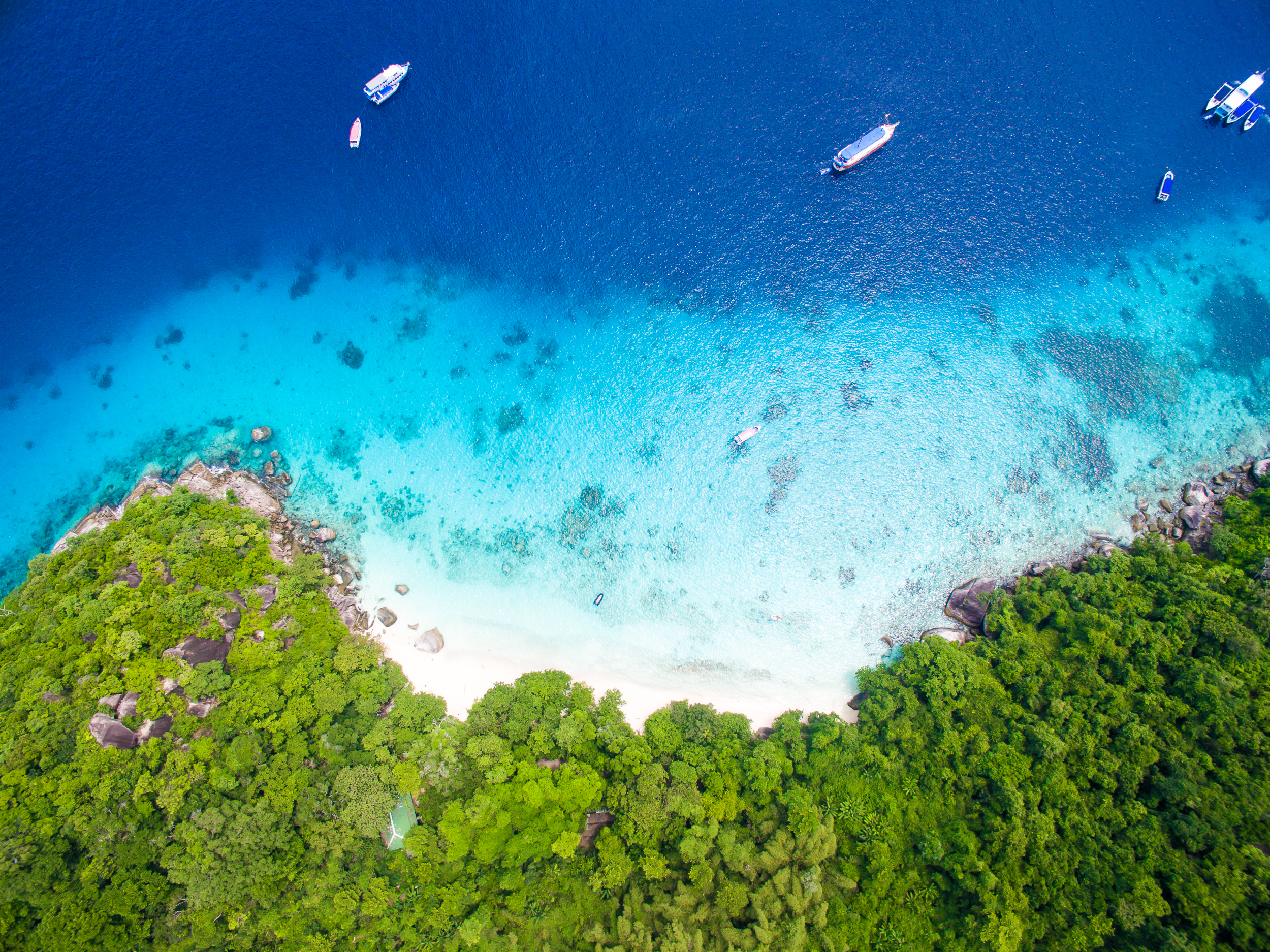 2025 Similan Islands Travel Guide: Must-see attractions, popular food, hotels, transportation routes (updated in October)