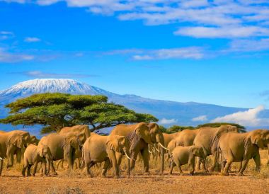 Región de Kilimanjaro