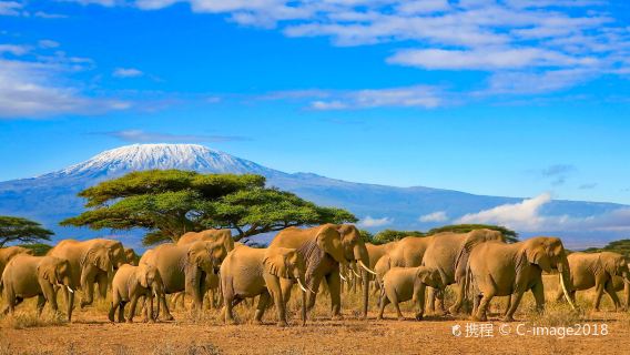 攀登乞力馬扎羅山 7 日 Machame 路線