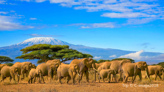 Tanzania