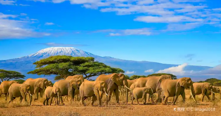 Hotels near Mt Kilimanjaro