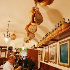 Il Latini張用戶圖片