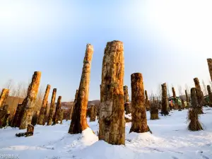 Guihua Wood Kingdom