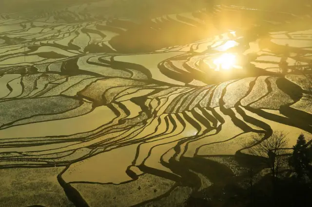 Sunrise Sightseeing in Yuanyang