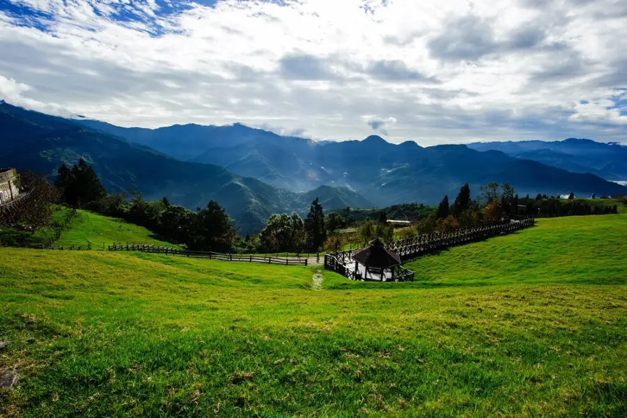 青青草原